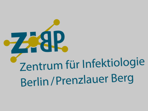 ZIBP | 2016 | Logo-Design | Visitenkarten | Briefpapier